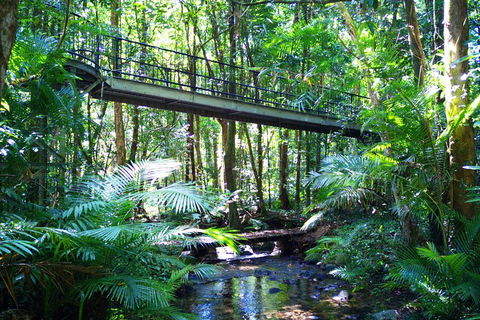 Cape Tribulation, Mossman Gorge, And Daintree Rainforest Day Trip From Cairns Or Port Douglas - Attractions 3