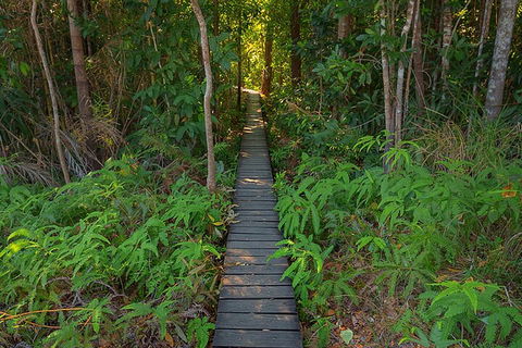 One Day Litchfield Park Adventures - Attractions 4