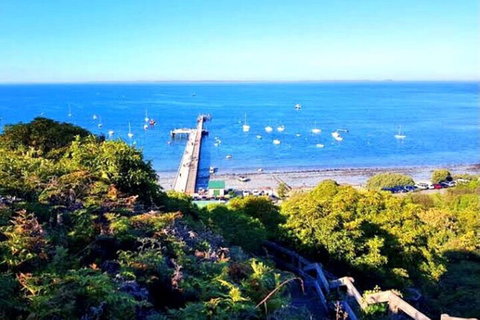 Mornington Peninsula Sightseeing Tour For 2-6 Guests. - Attractions 1