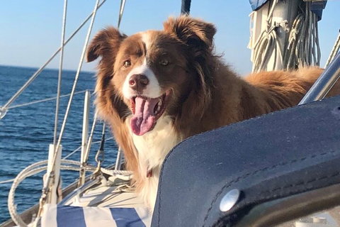 Mornington Peninsula Sightseeing Tour For 2-6 Guests. - Attractions 2