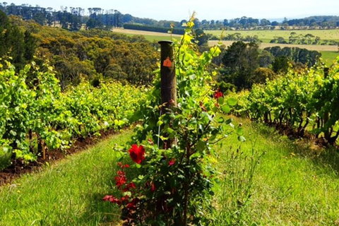 Mornington Peninsula Sightseeing Tour For 2-6 Guests. - Attractions 3