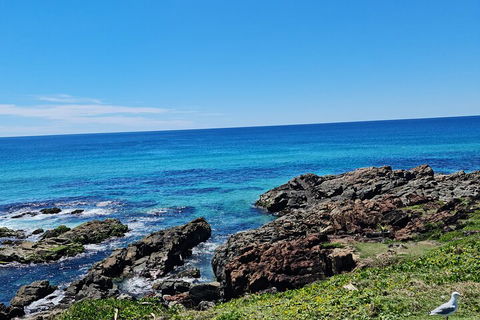 Private Custom Byron Bay Day Out - Attractions 4