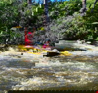 Yarra River Half-Day Rafting Experience - Attractions