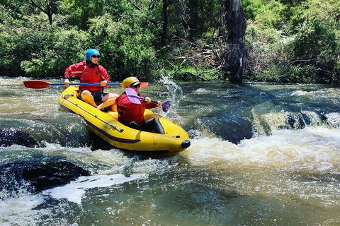 Yarra River Half-Day Rafting Experience - Attractions 4