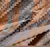 Chillagoe Caves and Outback Day Trip from Cairns - Attractions