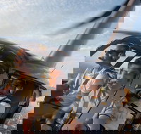 Melbourne and Port Phillip Bay Helicopter Tour - Attractions