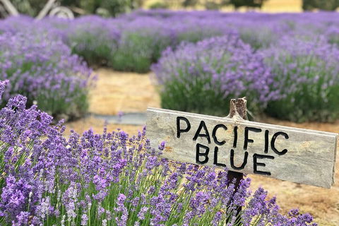 Kangaroo Island Food And Wine Hop-on Hop-off Tour - Attractions 4