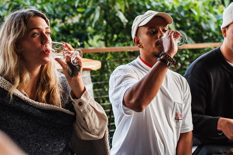 Full-Day Tour To Byron Bay Best Food And Drink Spots - Attractions 1