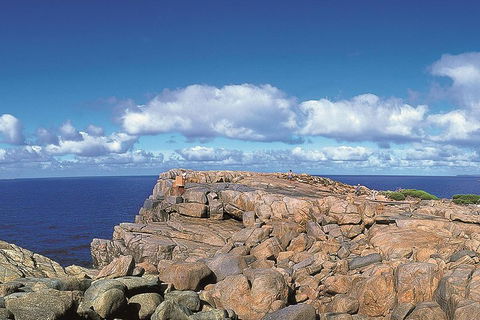 4 Day Tour: Albany, Margaret River, Valley Of The Giants TreeTop Walk From Perth - Attractions 0