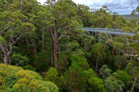 4 Day Tour: Albany, Margaret River, Valley Of The Giants TreeTop Walk From Perth - Attractions 4