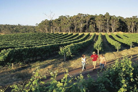 2-Day Margaret River Wine Experience From Perth - Attractions 3