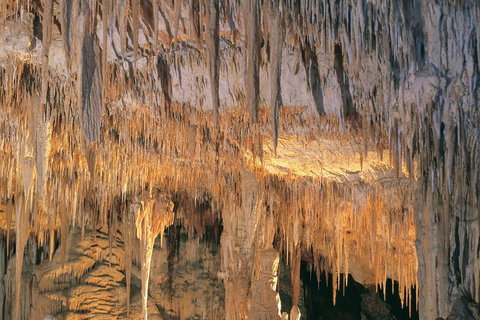 Margaret River, Caves, Wine And Cape Leeuwin Lighthouse Tour From Perth - Attractions 3