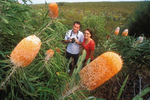 Best Of Perth Wildflower Season Day Trip - Attractions 0