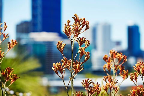 Best Of Perth Wildflower Season Day Trip - Attractions 4