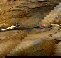 2-Day Wave Rock York Wildflowers  Aboriginal Experience - Attractions