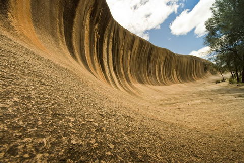 2-Day Wave Rock, York, Wildflowers & Aboriginal Experience - Attractions 1