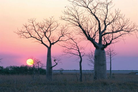 8-Day Outback Experience From Queensland - Attractions 5
