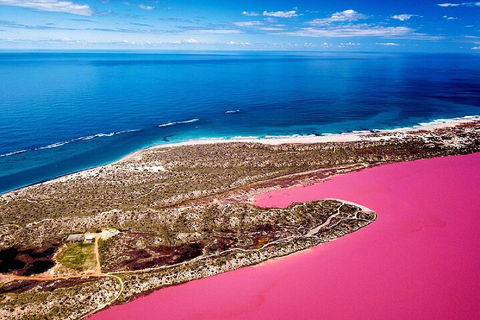 Pink Lake Small-Group Buggy Tour - Attractions 0