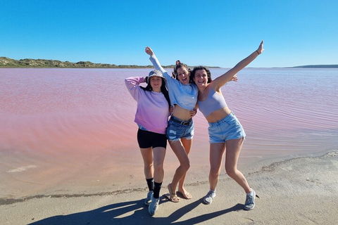 Pink Lake Small-Group Buggy Tour - Attractions 3