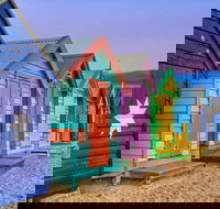 Phillip Island Penguin Brighton Beach Moonlit Sanctuary from Melbourne - Attractions