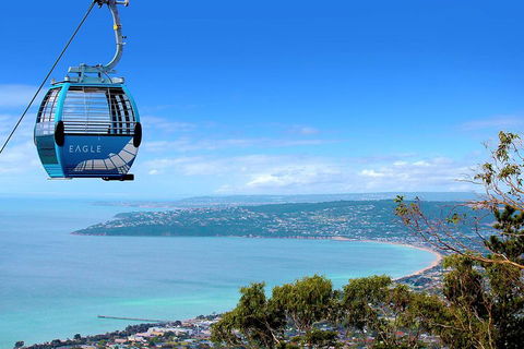 Peninsula Hot Springs Tour With Restaurant Lunch & Gondola Ride - Attractions 1