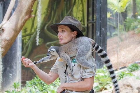 Currumbin Wildlife Sanctuary General Entry Ticket - See Attractions 1