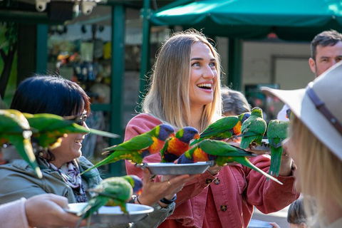 Currumbin Wildlife Sanctuary General Entry Ticket - See Attractions 3