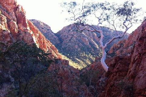 West MacDonnell Private Tour With Transfer - Attractions 3