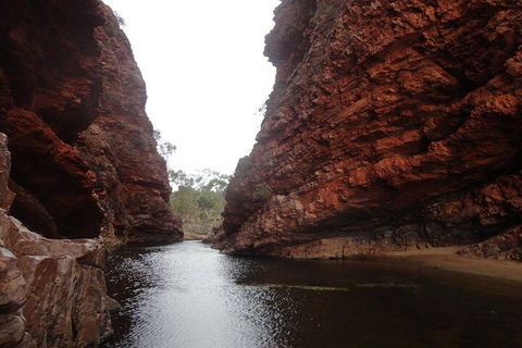 West MacDonnell Ranges Half - Day Tour - Attractions 4