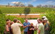 Yarra Valley Wine And Winery Tour From Melbourne - thumb 0