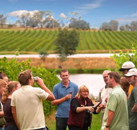 Yarra Valley Wine and Winery Tour from Melbourne - Attractions