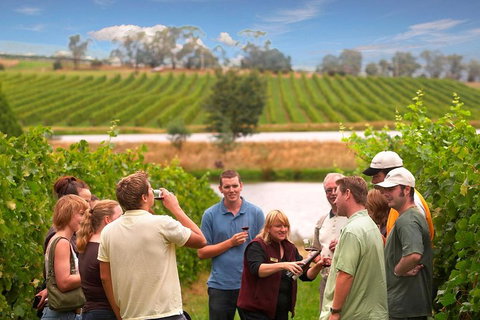 Yarra Valley Wine And Winery Tour From Melbourne - See Attractions 0