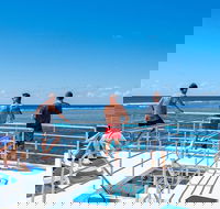 Calypso Outer Great Barrier Reef Cruise from Port Douglas - Attractions