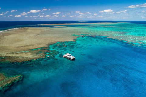 Calypso Outer Great Barrier Reef Cruise From Port Douglas - Attractions 1