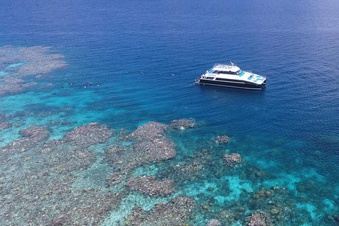 Calypso Outer Great Barrier Reef Cruise From Port Douglas - Attractions 4