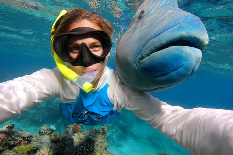 Calypso Outer Great Barrier Reef Cruise From Port Douglas - Attractions 5