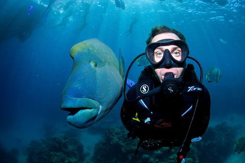 Full Day Reef Cruise Including 10 Minute Heli Scenic Flight: Get High Package - Attractions 1