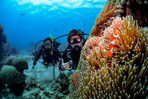 Full Day Reef Cruise Including 10 Minute Heli Scenic Flight: Get High Package - Attractions 5