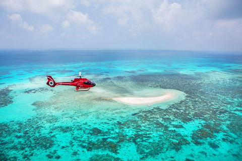 Private Helicopter Tour: Reef Island Snorkeling And Gourmet Picnic Lunch - Attractions 5