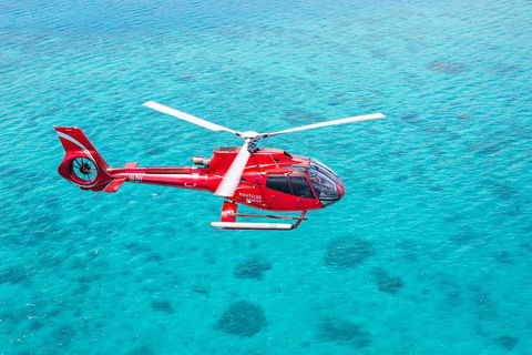 Cruise To Moore Reef Pontoon And Return Helicopter Flight From Cairns - Attractions 1