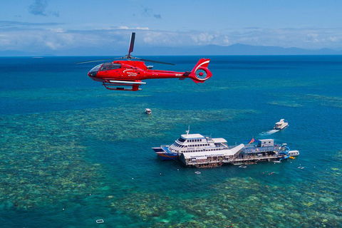 Cruise To Moore Reef Pontoon And Return Helicopter Flight From Cairns - Attractions 4