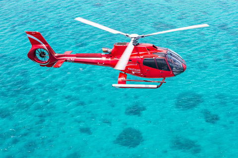 Helicopter And Cruise Packages From Port Douglas - Attractions 5