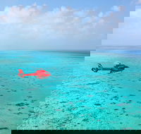 Port Douglas Scenic Flights - Attractions