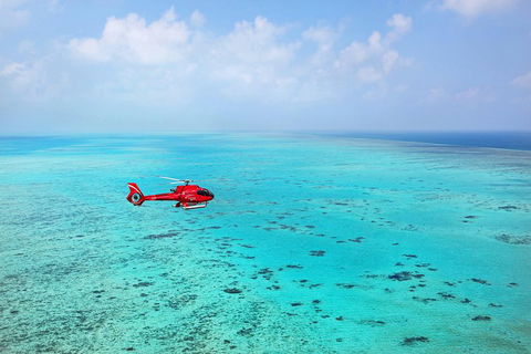 Port Douglas - Cruise And 10 Minute Scenic Flight - Attractions 1