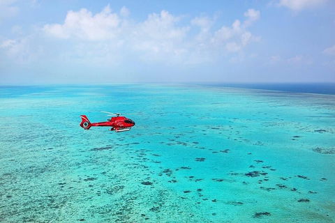 Great Barrier Reef 30-Minute Scenic Helicopter Tour From Cairns - Attractions 2