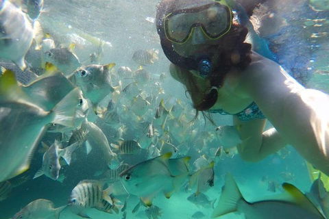 2-Day Moreton Island 4WD Camping Tour From Brisbane - Attractions 0