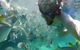 Moreton Island Snorkel And Sandboarding 4WD Day Trip From Brisbane - thumb 3