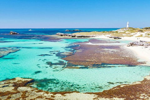 Rottnest Island Bike, Snorkel & Ferry Package From Perth - Attractions 5