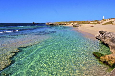 Rottnest Island Bayseeker Day Trip From Perth - Attractions 5