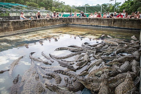 Hartley's Crocodile Adventures Day Trip From Palm Cove - Attractions 0